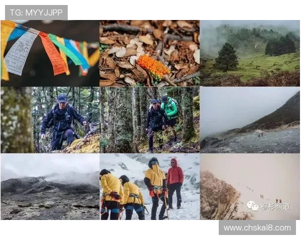 深入了解k8集团官网的企业发展战略与未来规划为玩家提供全面信息